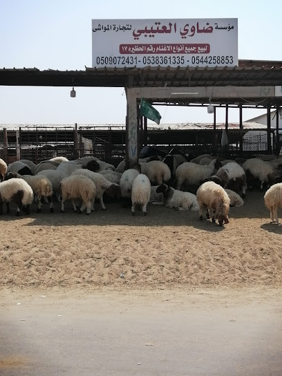 حظيرة ضاوي العتيبي لبيع الاغنام والتيوس البلدي - Saudi Arabia|Al Khobar 34632|Al Thawn