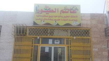 عالم الطيور - Tabuk - +966 55 261 2343